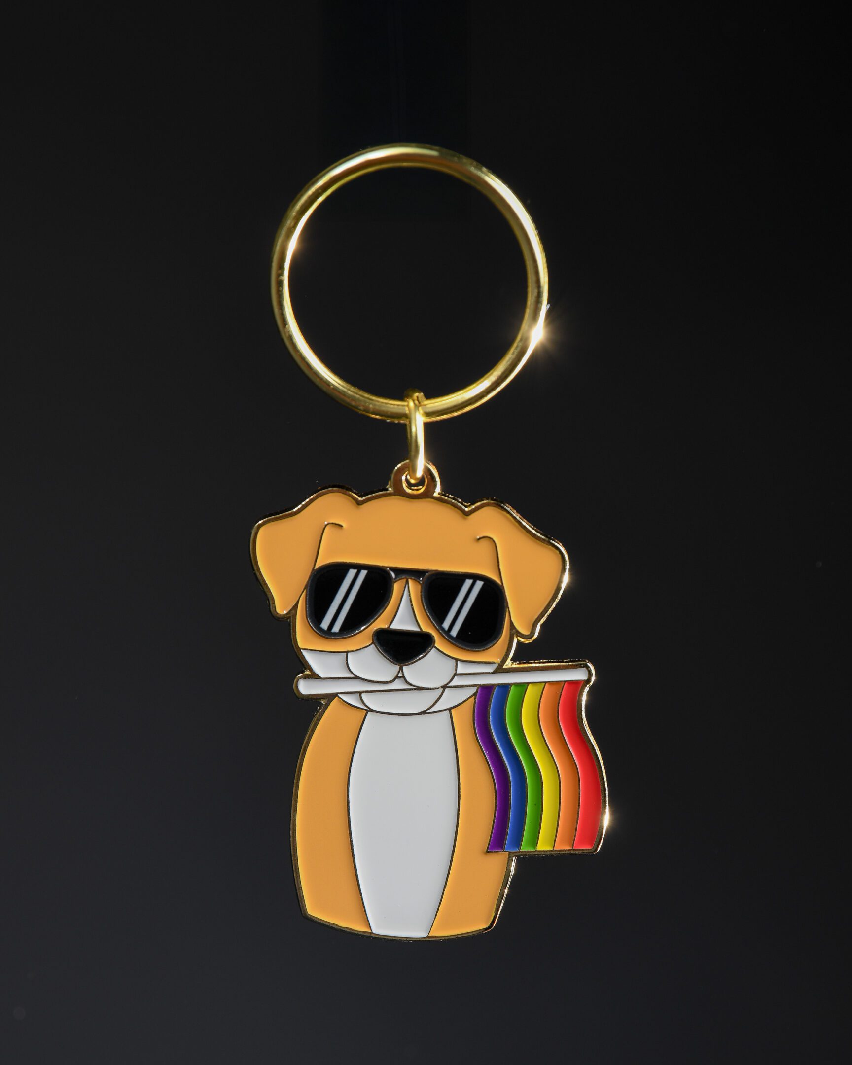 Dog keychain with sunglasses and rainbow flag.